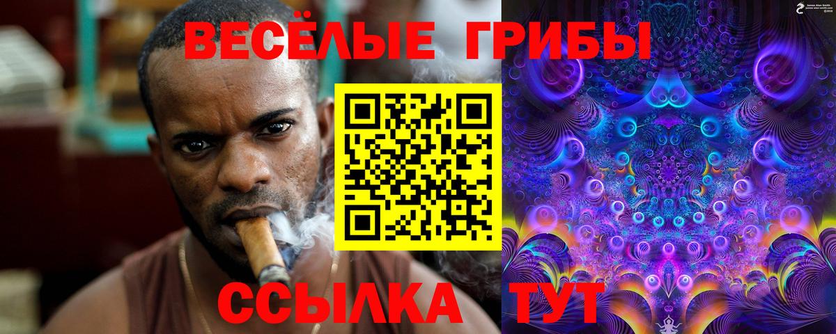 Златоуст  Галлюциногенные грибы Cubensis  Псилоцибиновые грибы прущие грибы  где можно купить наркотик  Вход с VPN 